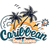 Caribbean Smart Services Logo